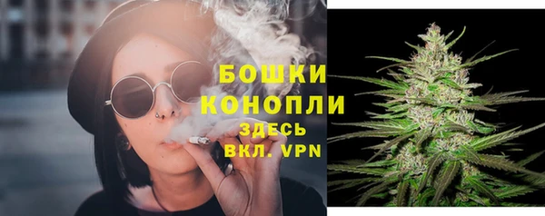 соль ск Белокуриха