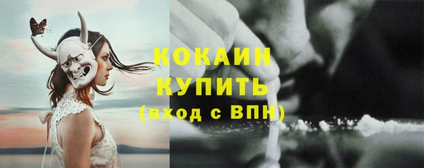соль ск Белокуриха