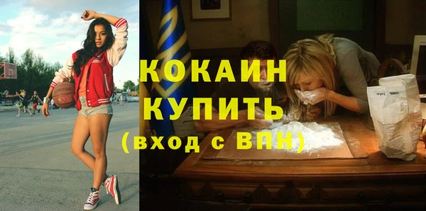 соль ск Белокуриха
