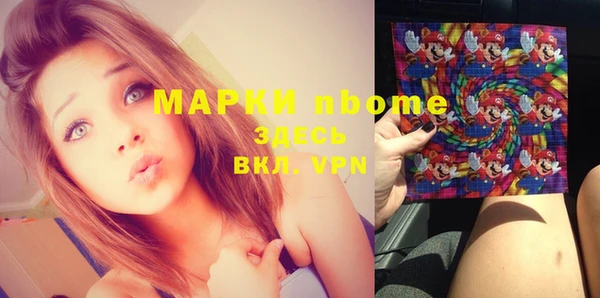 МДПВ Богородск