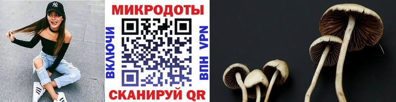 что такое   Ессентукская  Псилоцибиновые грибы прущие грибы 