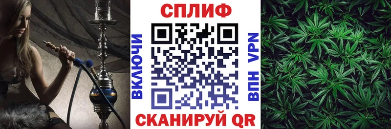 Канабис VHQ как найти наркотики гидра ссылки Ессентукская